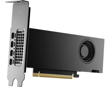 PNY RTX 2000 Ada Generation Power Limited